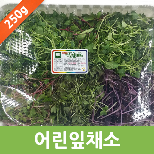 어린잎 채소 250g/500g 1팩