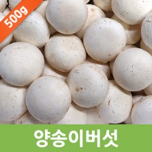 국내산 양송이버섯 500g/ 1kg