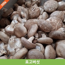 국내산 생표고버섯 500g / 향긋하고 부드러운 표고버섯 / 표고버섯 /